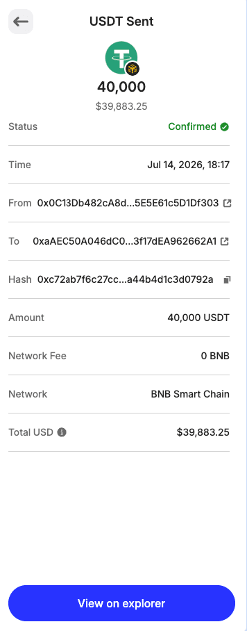 Flash USDT wallet balance proof