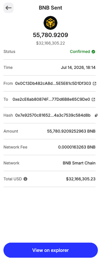 BEP20 Flash USDT wallet proof